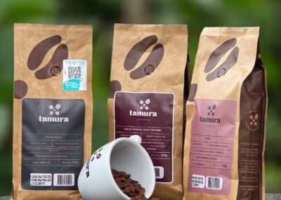 Curso de Torra Fundamental